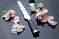 Нож кухонный, Future